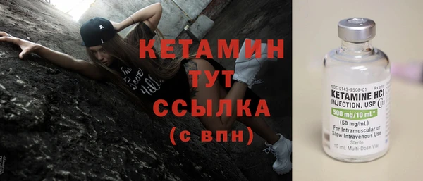 твердый Гусев