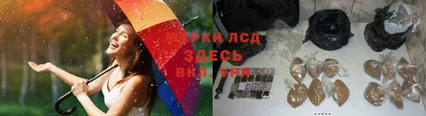 твердый Гусев