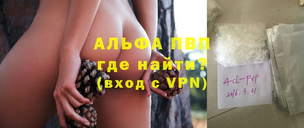 молекула духа Гусиноозёрск