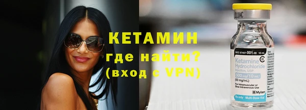 твердый Гусев