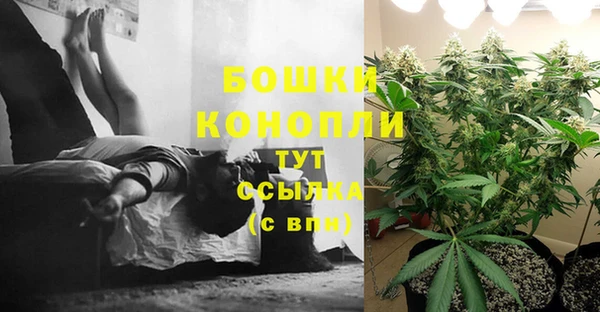 твердый Гусев