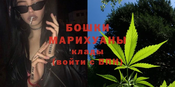 твердый Гусев