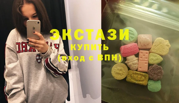 твердый Гусев
