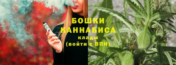 молекула духа Гусиноозёрск