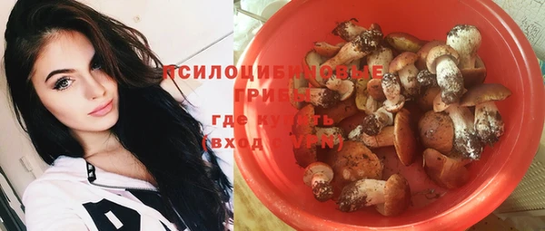 твердый Гусев