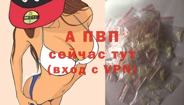молекула духа Гусиноозёрск