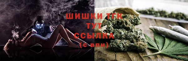 молекула духа Гусиноозёрск
